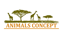 Animals Concept